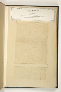 Algodão Grosso, Benares, da Coleção dos Fabricantes Têxteis da Índia, de John Forbes Watson, publicado em 1866 de Indian School