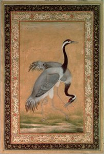 Gruas de Mansur, Período Jahangir, Mughal de Indian School