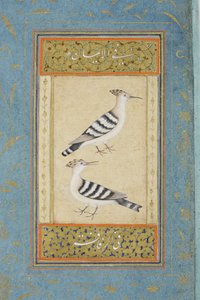 Hoopoes, c.1590 (wc opaca e ouro no papel) de Indian School