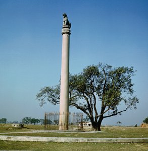 Pilar Leão do Imperador Ashoka (c.264-223 aC) de Indian School