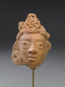 Cabeça masculina com um turbante (terracota) de Indian School