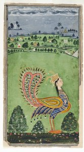 Pavão mítico com cabeça de uma mulher, Hyderabad, c.1750 de Indian School