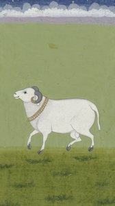Ram com coleira dourada, 1700-1799 de Indian School