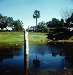 Ruínas do Palácio de Pataliputra de Indian School