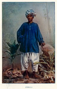Nativos da Índia: Cabuli (foto colorida) de Indian photographer