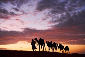 Um cameleiro conduz os seus camelos no Erg Chebbi, no deserto de Merzouga, Marrocos, 2019 (foto) de Ira Block