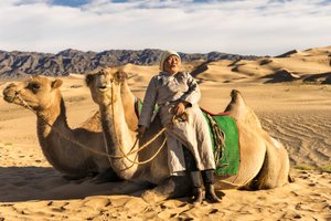 Uma mulher a descansar com camelos no deserto de Gobi do Sul, Mongólia, 2015 (foto) de Ira Block