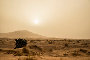Dunas de areia no deserto de Erg Chebbi, no sudeste de Marrocos, 2014 (foto) de Ira Block