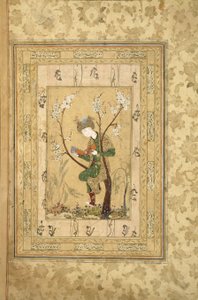Jovens sentados no garfo de uma árvore florescendo, década de 1560 de Iranian Master