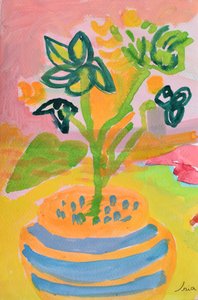 Flores felizes em vasos