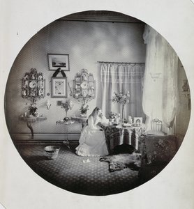 Interior da casa de Muckross, c.1865 (albumen print) de Irish Photographer