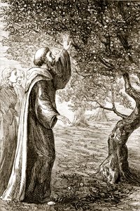 São Columba transforma frutos amargos em doces, de The Trias Thaumaturga, ou "Três Santos da Obra-Maravilha da Irlanda", de Mary Cusack (1829-99), publicada em 1890 de Irish School