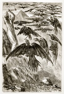 São Patrício e os pássaros demoníacos, de The Trias Thaumaturga, ou Três Maravilhas da Irlanda, de Mary Cusack (1829-1899), publicado em 1890 de Irish School