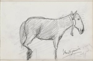 Cavalo de Isaac Gosschalk
