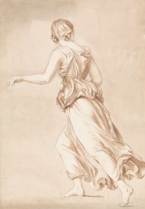 Mulher em fuga de Isaac Weld