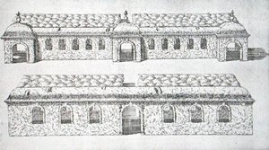 Passarelas arqueadas topiarias de 