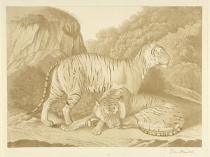 Dois tigres numa paisagem de Isaac van Haastert (signed by artist)