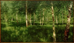 Birkenhain de Isaak Ilyich Levitan