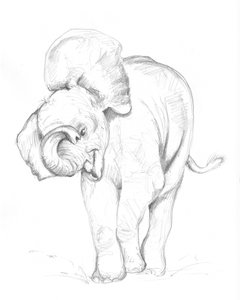 Bebé elefante 02