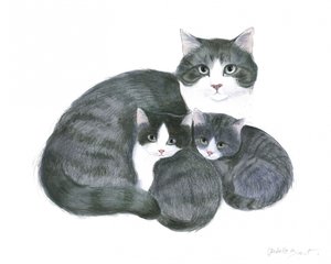 Gata e dois gatinhos