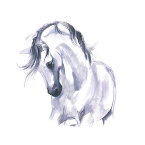 Estudo de cavalo em movimento