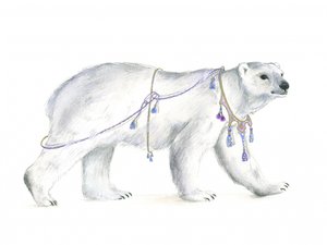 Majestade polar régia