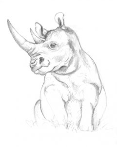 Rinoceronte