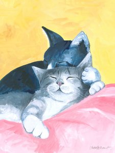Gatos em sesta abstratos