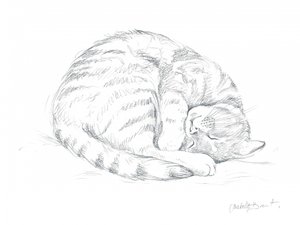  de Isabelle Brent