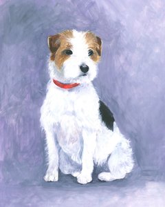Postura do terrier