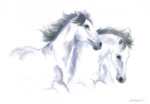 Dois cavalos