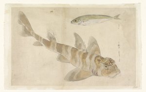 Dois peixes: cabaça (?) e arenque de Ishikawa Kazan