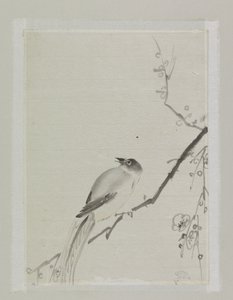 Pássaro em um galho de uma cerejeira de Ishikawa Kazan