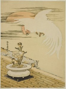 Galo voando sobre o pote de Adonis de Isoda Koryusai