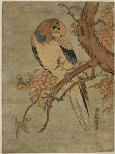 Papagaio na árvore de marmelo de Isoda Koryusai