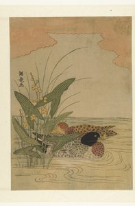 Dois patos nadando perto da ponta de seta com flores amarelas de Isoda Koryusai
