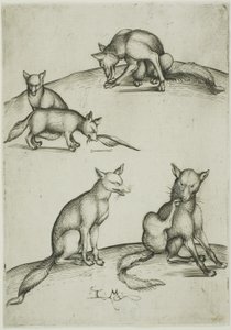 As cinco raposas de Israhel van Meckenem the younger
