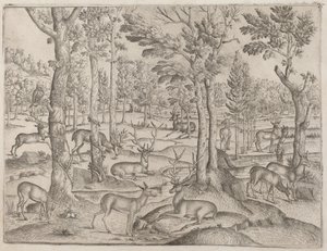 veado na floresta de Italian 16th Century