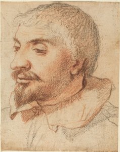 Cabeça de um homem de Italian 17th Century