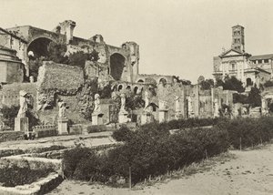 Fórum Romano, Basílica de Constantino, Templo de Rômulo e Casa das Virgens Vestais de Italian Photographer