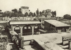 O Palatino, Casa de Livia de Italian Photographer