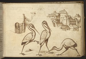 Acrescentar. 82955, f.107 Ibises (