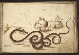 Acrescentar. 82955, f.242 Uma cobra ("aspis"), de Historia Animalium, (que consiste em 245 desenhos com caneta e tinta de diferentes espécies de animais e criaturas míticas, cada um acompanhado de uma descrição) 1595 de Italian School