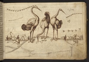 Adicionar. 82955, f.33 Guindastes (