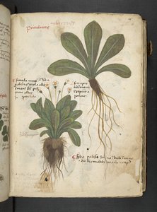 Adicionar MS 41623 