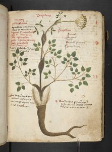 Adicione MS 41623 