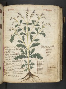 Adicionar MS 41623 
