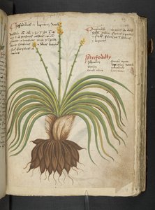 Adicionar MS 41623 