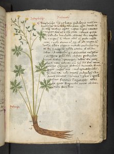 Adicionar MS 41623 