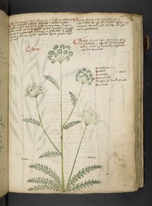 Adicione MS 41623 